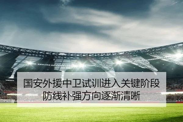 国安外援中卫试训进入关键阶段 防线补强方向逐渐清晰